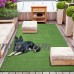 Sweet Home Meadowland Indoor/Outdoor Green Artificial Grass Turf Area and Runner Rug   550506551